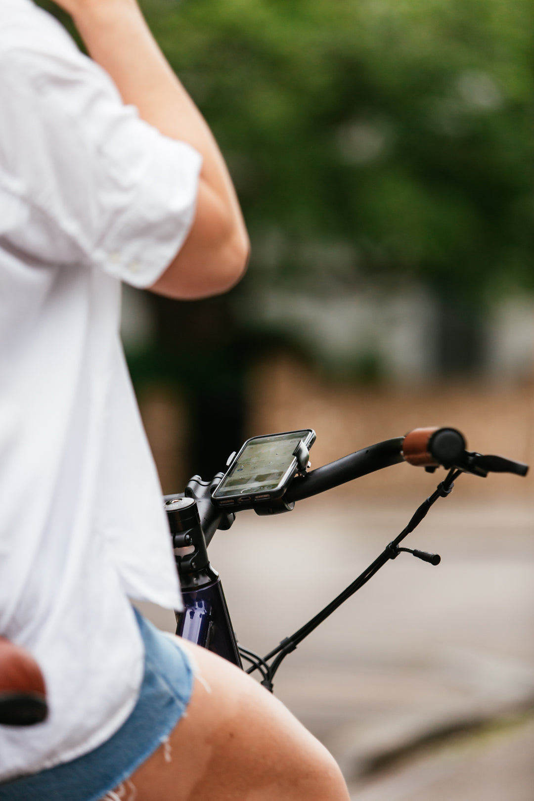 Loop Mount on dutch bike